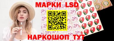 гашик Камышлов