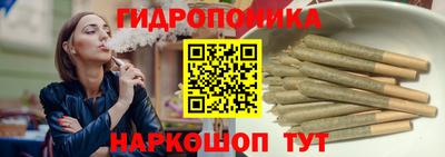 a pvp Кингисепп