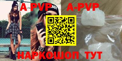 a pvp Кингисепп