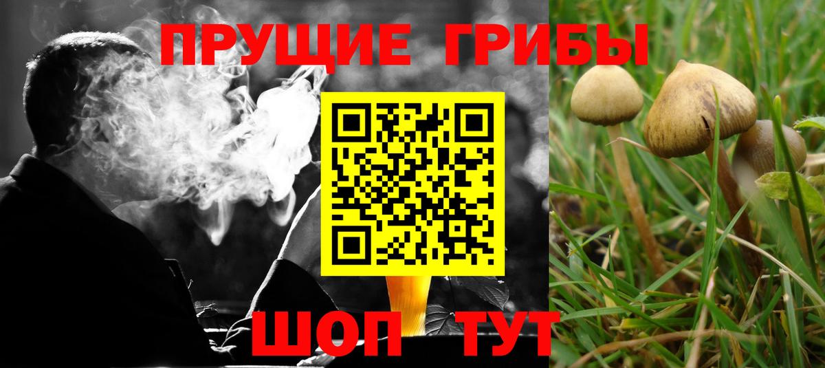 Псилоцибиновые грибы ЛСД  Вход с VPN  Клин 